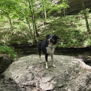 Fundraising Page: Crystal Boyce